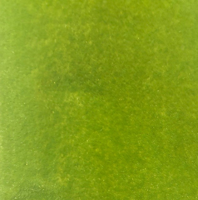 Adventure Ready Grass Mat