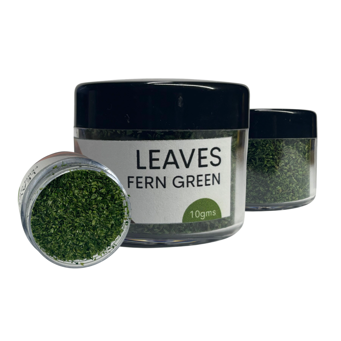 Leaves Fern Green 10gms